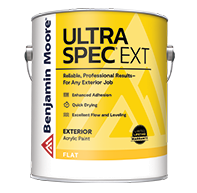 Ultra Spec EXT Paint - Flat (W447)